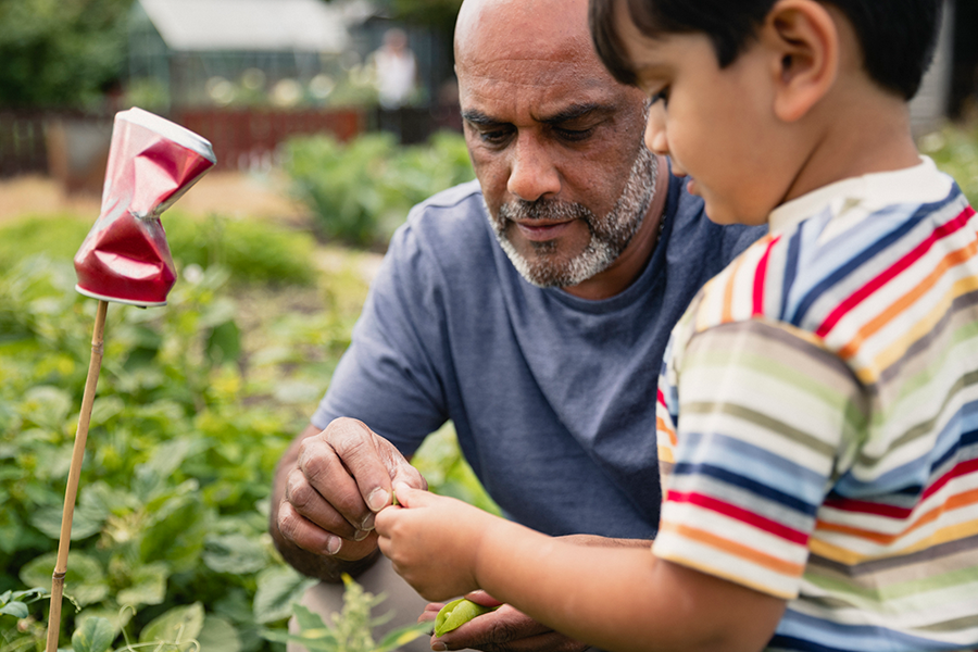 Older man with a young child looking at their gardening produce on an allotment